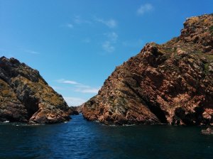 Berlengas